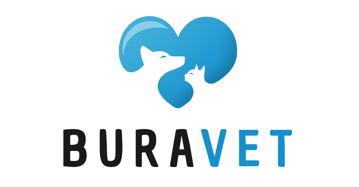 Buravet logo